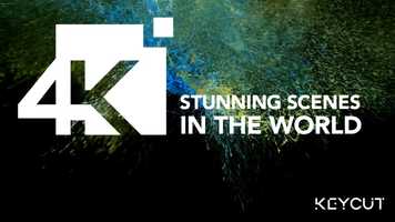 Free download [DEMO] 4K VIDEO - Extreme clarity of colors : blue, red, green and yellow 4K ART video and edit with RedcoolMedia movie maker MovieStudio video editor online and AudioStudio audio editor onlin